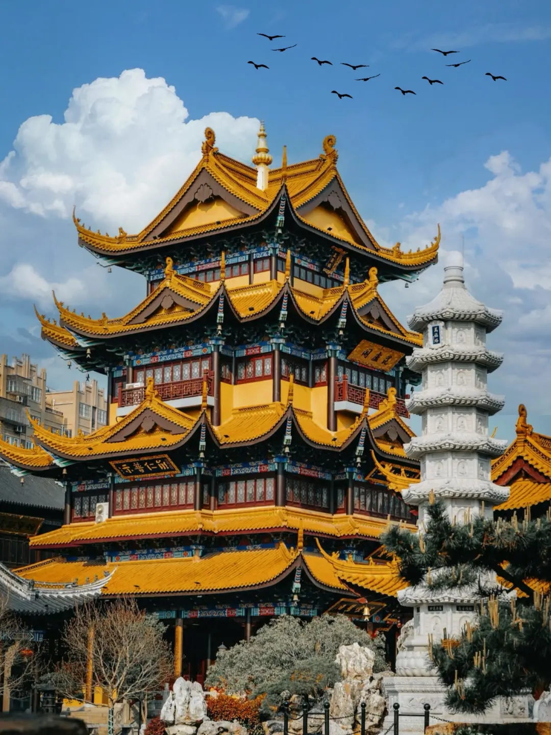 485ec1db183126812472dd030adc0756-sz_511606