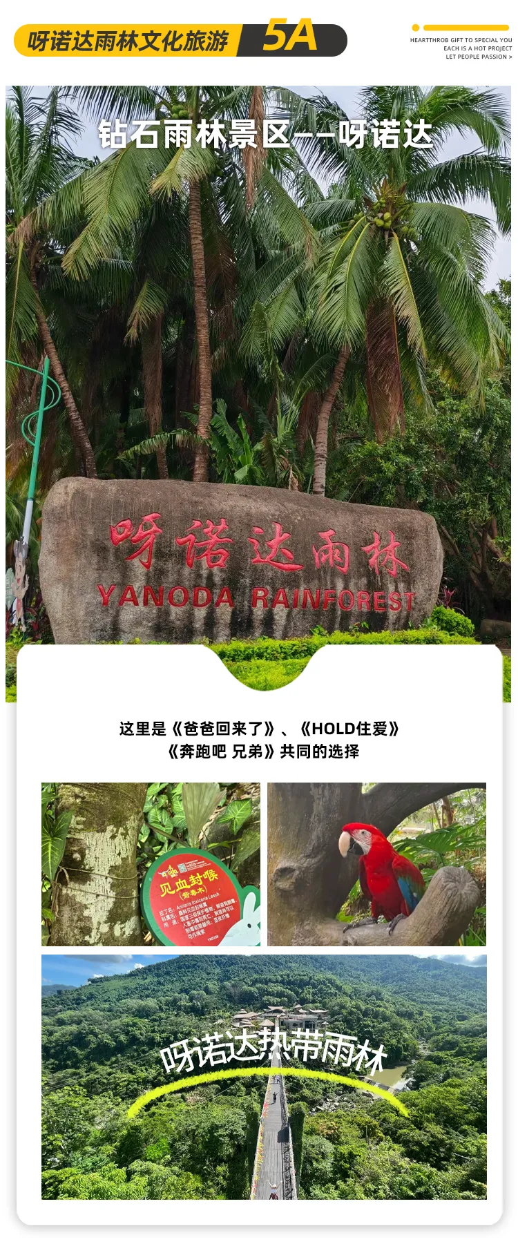 4907026d78951694258507d36211f55c-sz_1208989