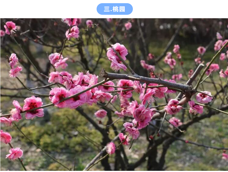 49563aa4f08b6ac9620d43b76577381d