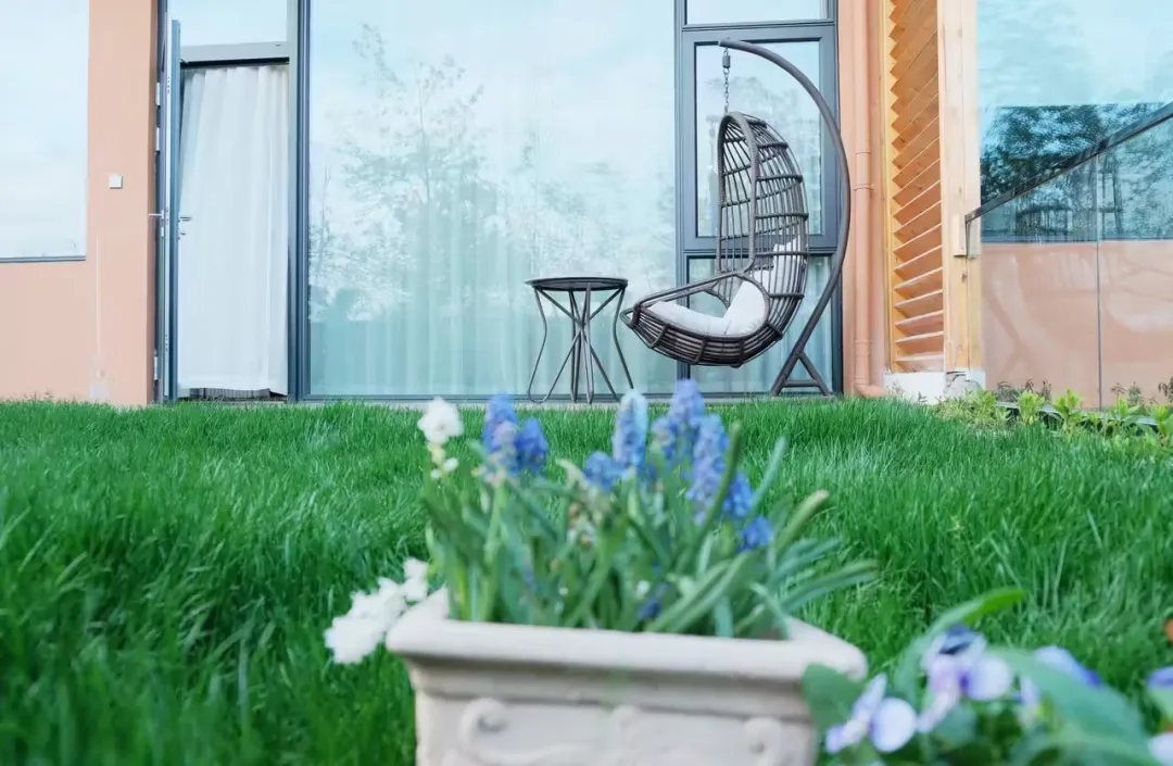 4a313a806ff670d0fe2ea8acf612183d-sz_241436