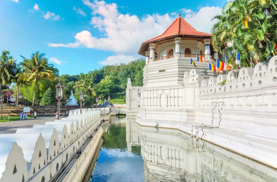 4a319ef7f22c8289cb0ca6877a1b5e12-sz_937819