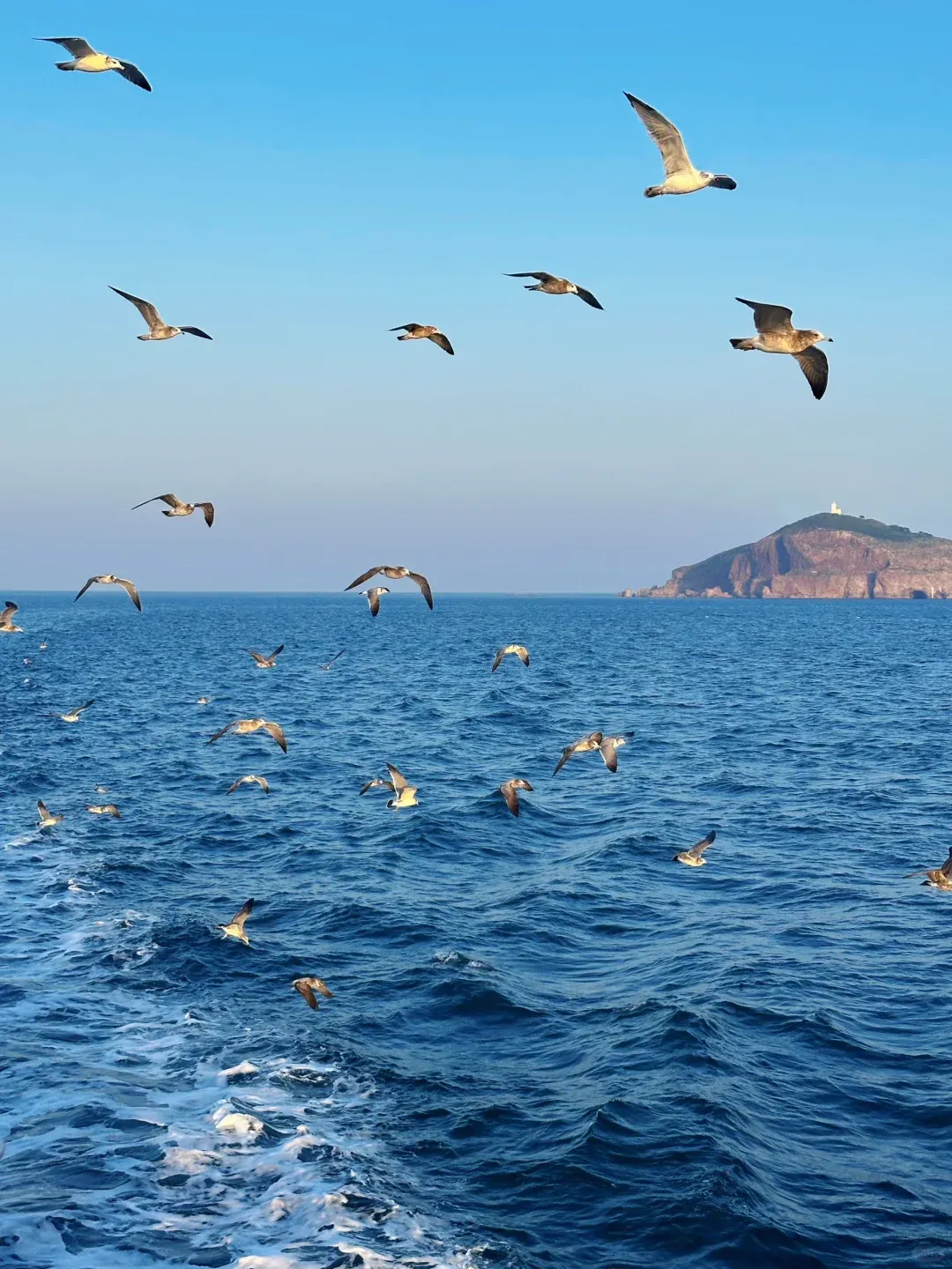 4a5c844ae55e7378087e2720efa2ee43-sz_2108806