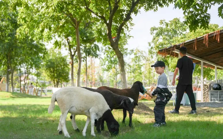 4b09953daf437e3f0a5d34a88c95e782-sz_824082