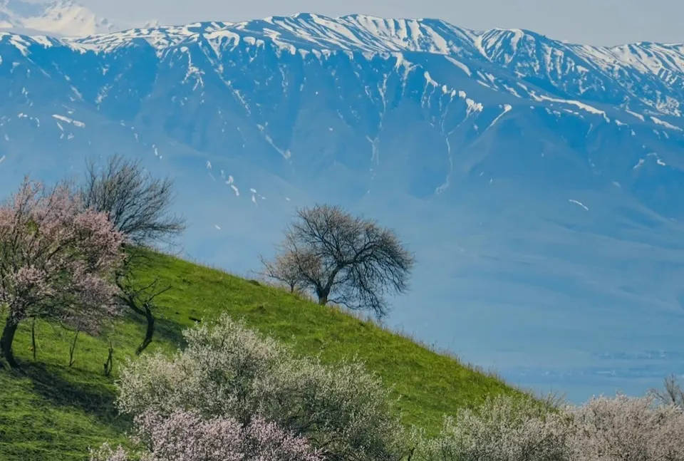 4b2e126104561771bd60511172bea43c-sz_415935