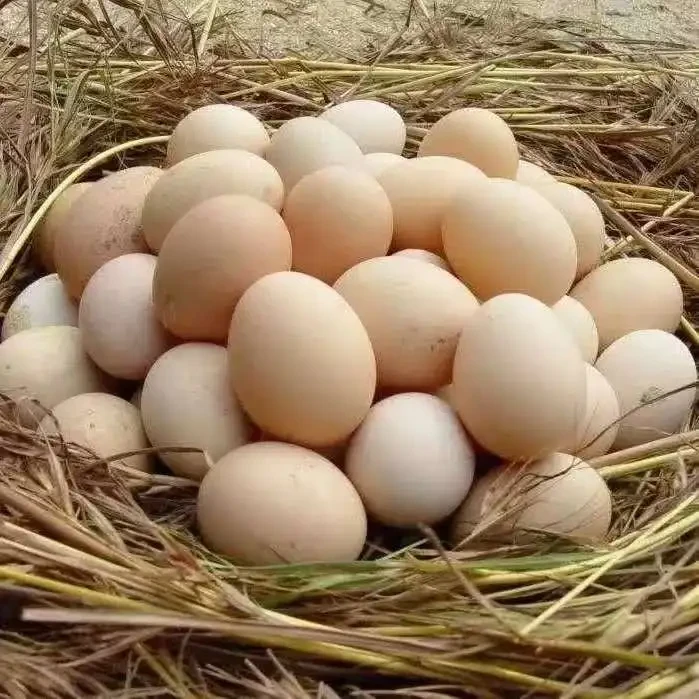 4b850e2f30943ae3b4811af248d1cbeb-sz_72189