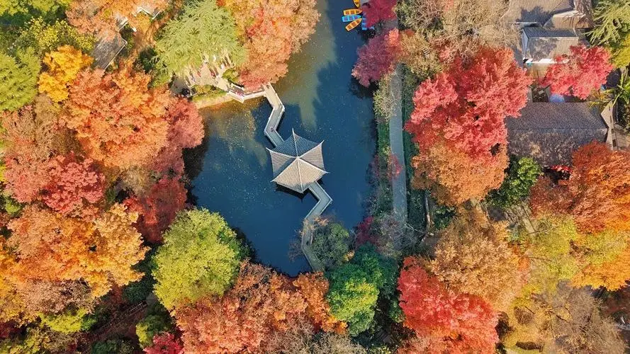 4d0178cbd7700e60929e5751c647c5ba-sz_145414