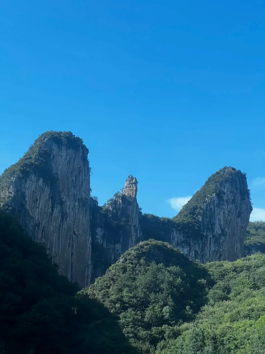 4de01963b6df25ebd6c4dd9ed49e07e5-sz_271681-1