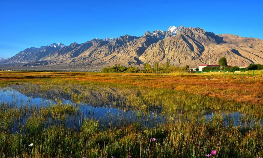 511781edd3155e04d33e30c4a4f09dd7-sz_276479