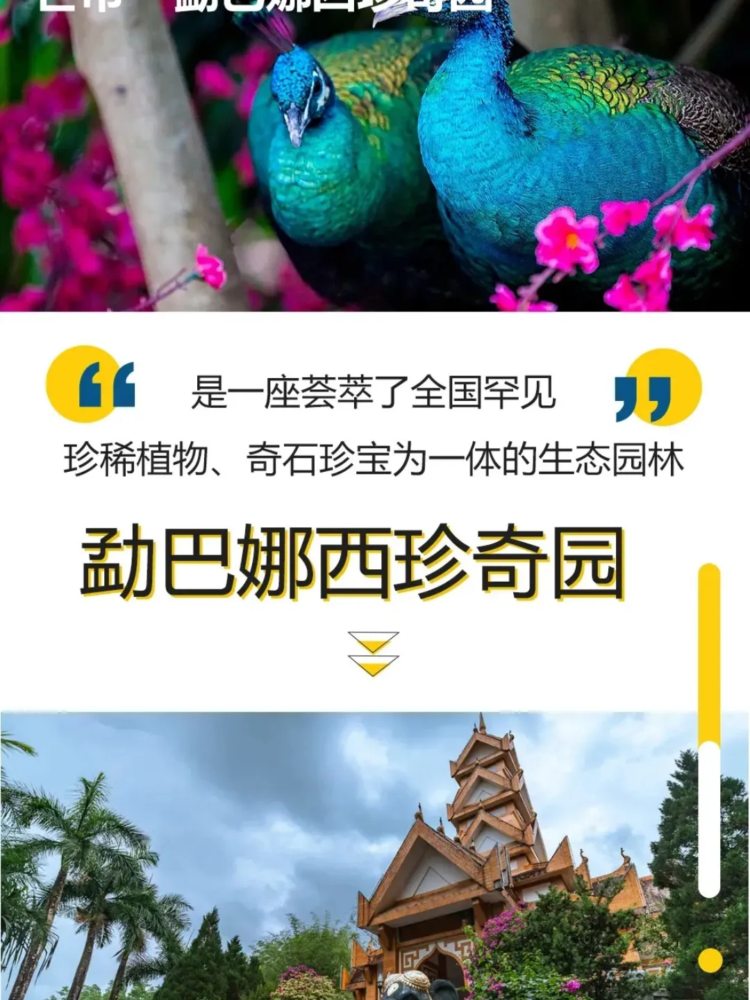 512c948e4a5b355c8ea492657727d593-sz_312939