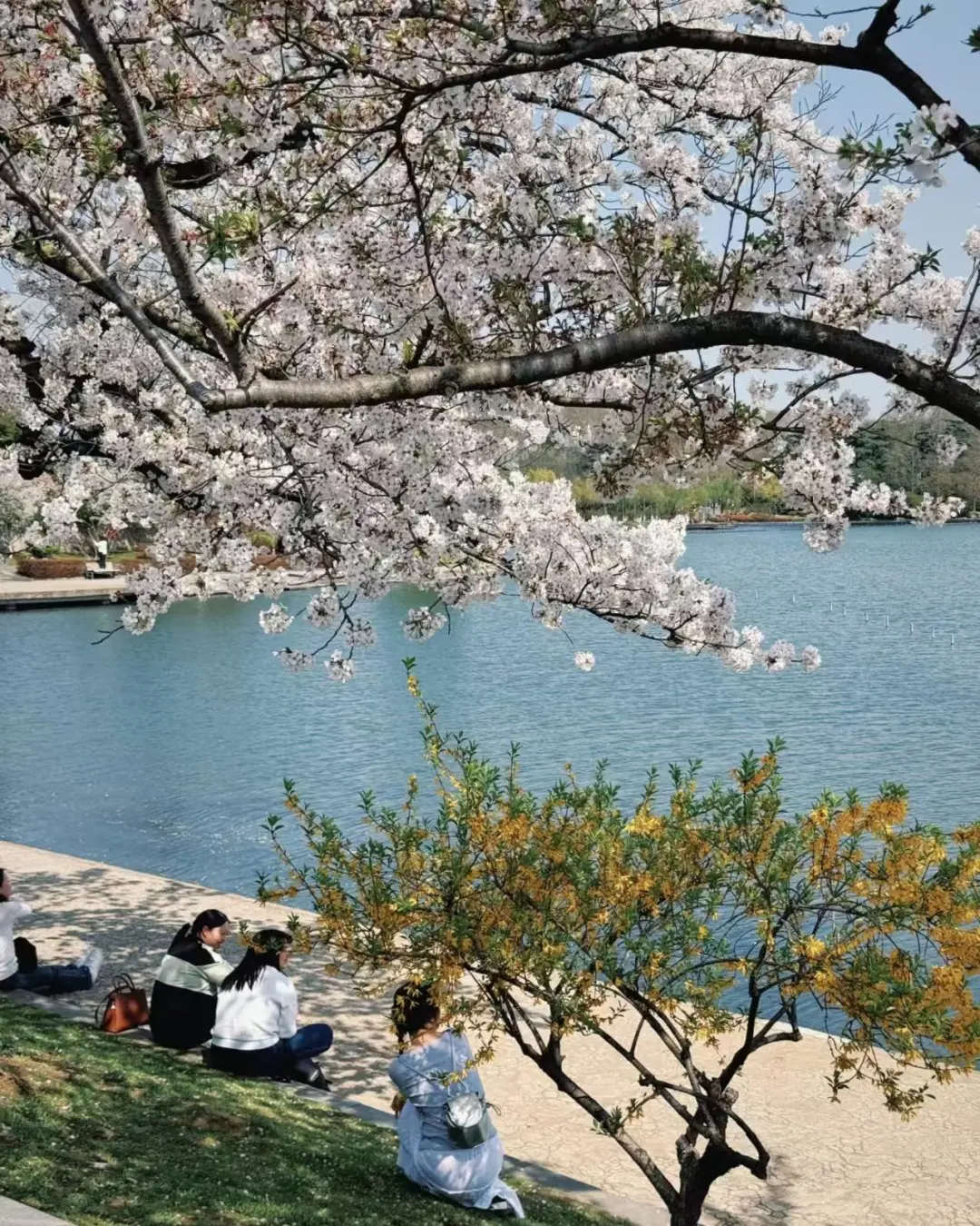 518d2a0adb893c5b6e15ce83998997d5-sz_492047