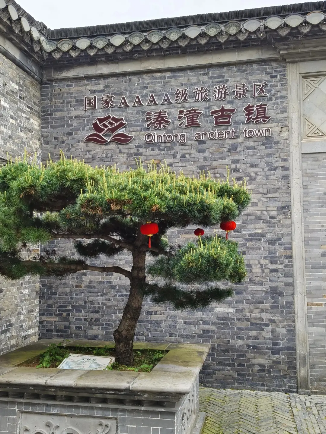 51a72d340485d8e9e88800669d0957dc-sz_986688