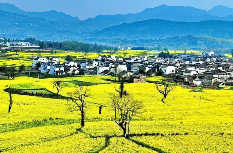 51bd6ea8c794278c26c3b3318d8f6046-sz_118813