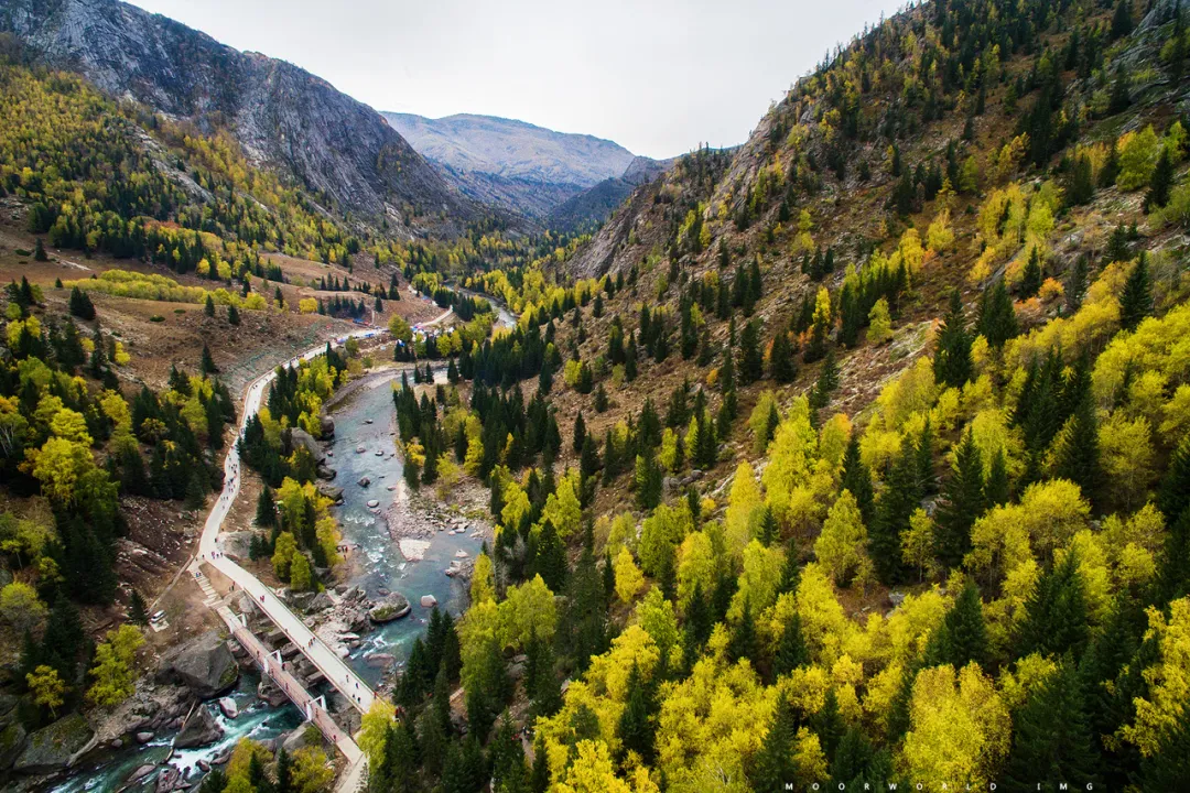 5226ba30ffb7d1e18c72cb85cc8f8f16-sz_895332