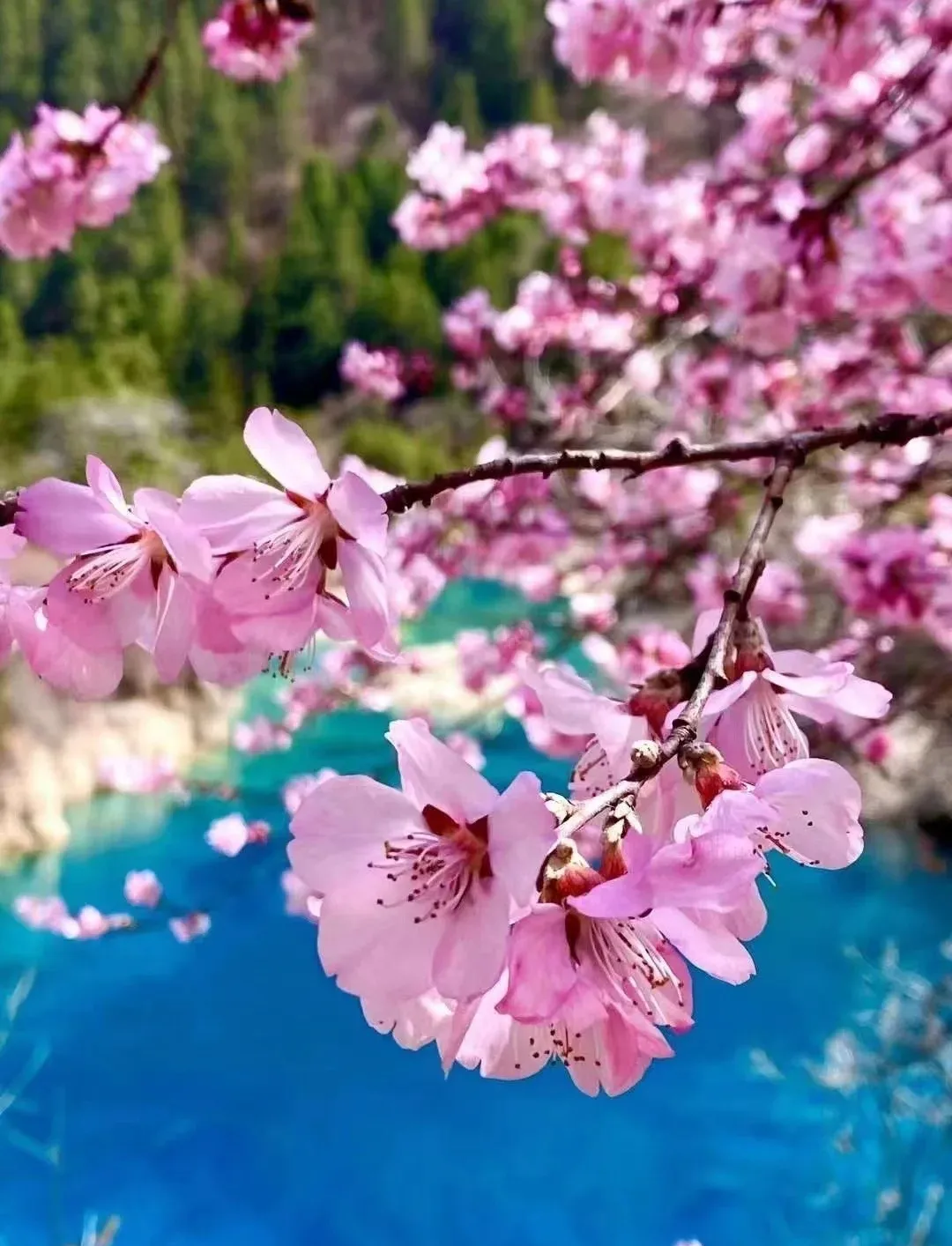 524c891cccea738047ba407f743be61d-sz_274976