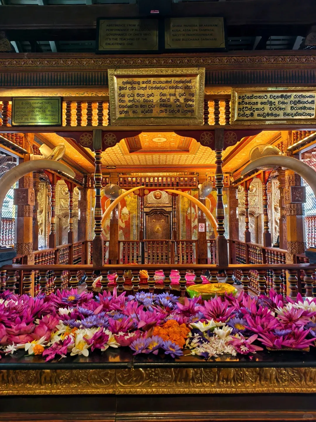 534b009dc8bf3ed12093732d3a297018-sz_631034