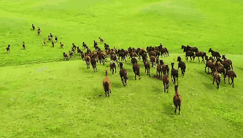 53e1aa3bb7b91af8bc3662f0ab309134-sz_3495775