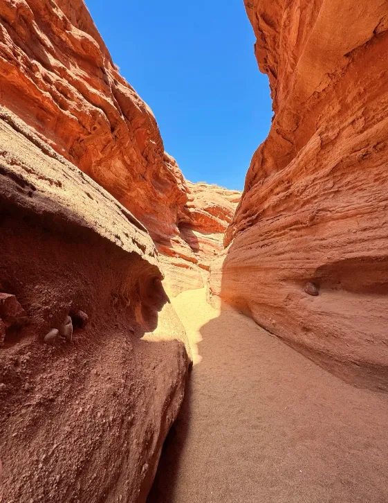 542b4c71c8812426cd75f5d6faa06763-sz_1041998-1