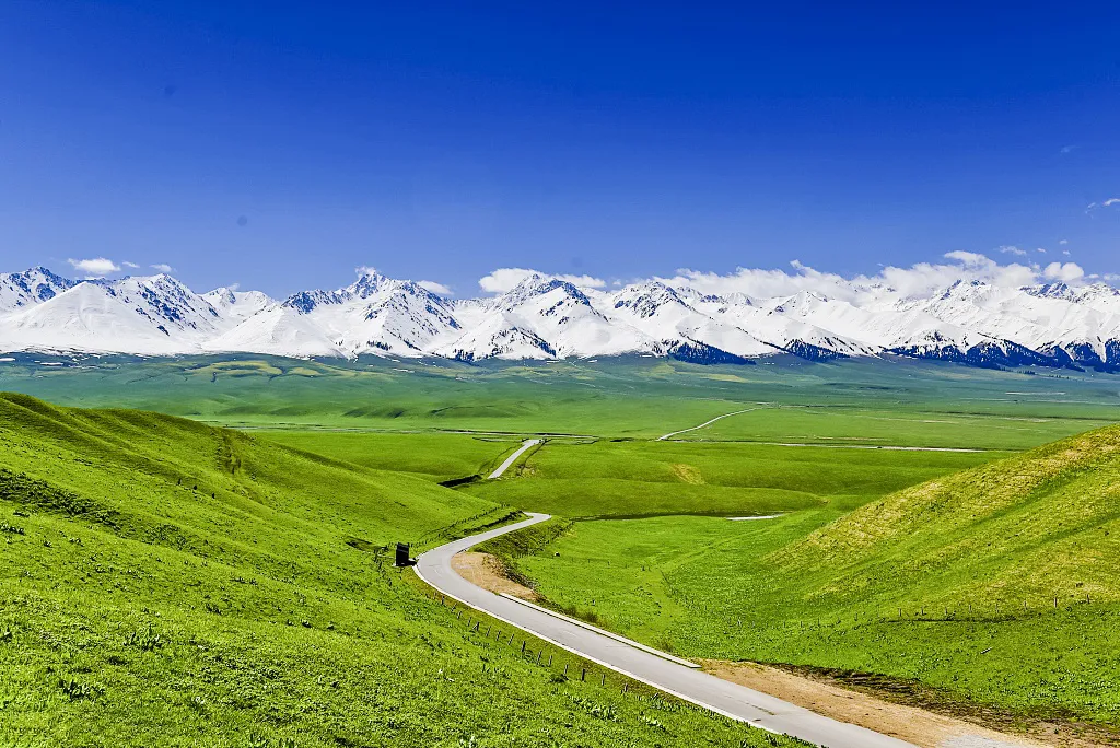 558bbe547ccf0ddd19aaefe968883526-sz_580723