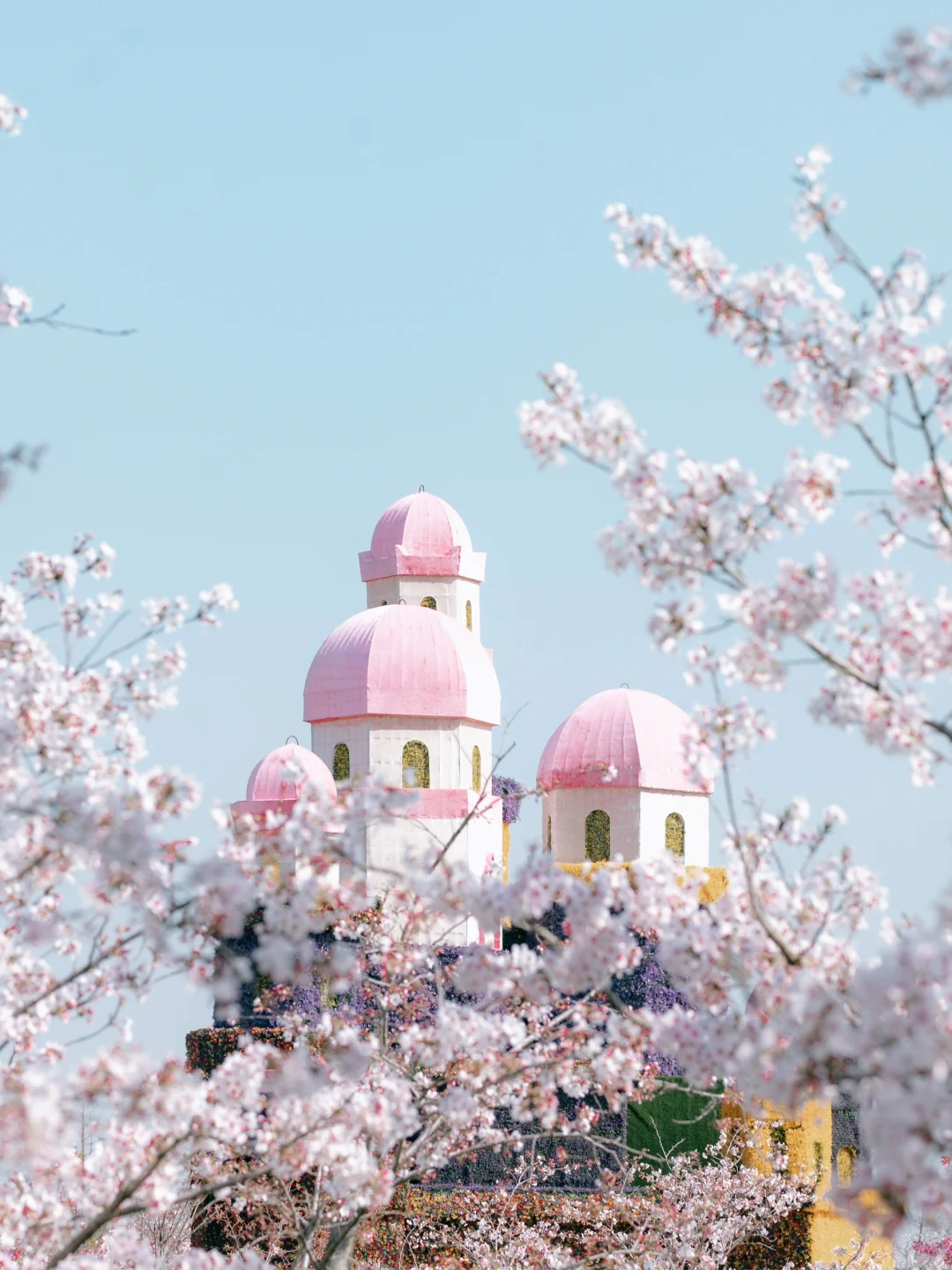 5597ad68d78df4f2f81ef8df72fd2d5d