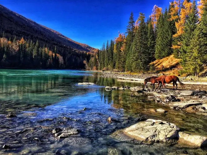 56085ae9239bc66553019ca16a244cb6-sz_95162