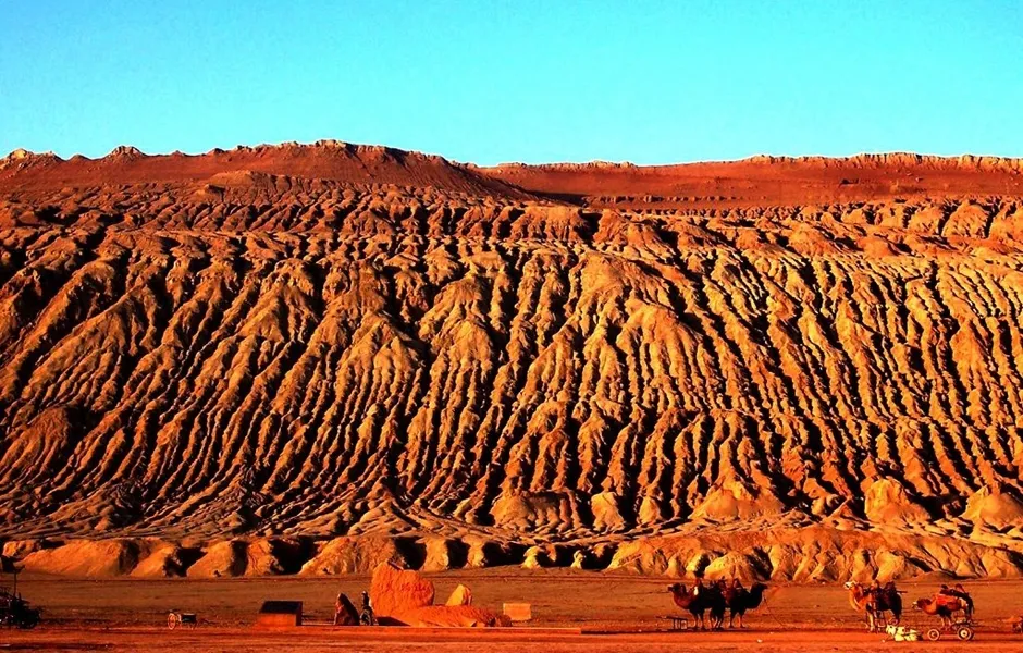 56e8852e7c9e54041c487d1ddc01aca0-sz_549470