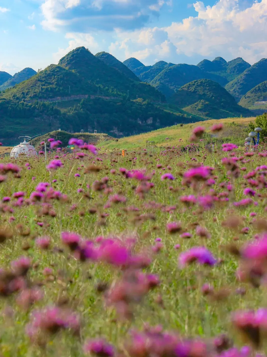 56fc2b5574ca0a5c5950cd3ac90784a1-sz_351811-1