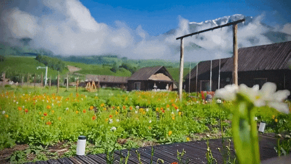 57b23135fa84b91b6442a8a79ab56570-sz_1820781