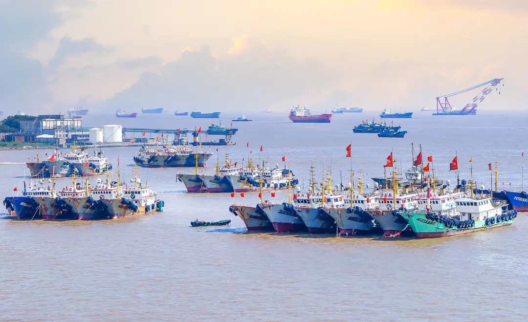 57c8710b7a850bd1ae44982e3a74d6ba-sz_433549