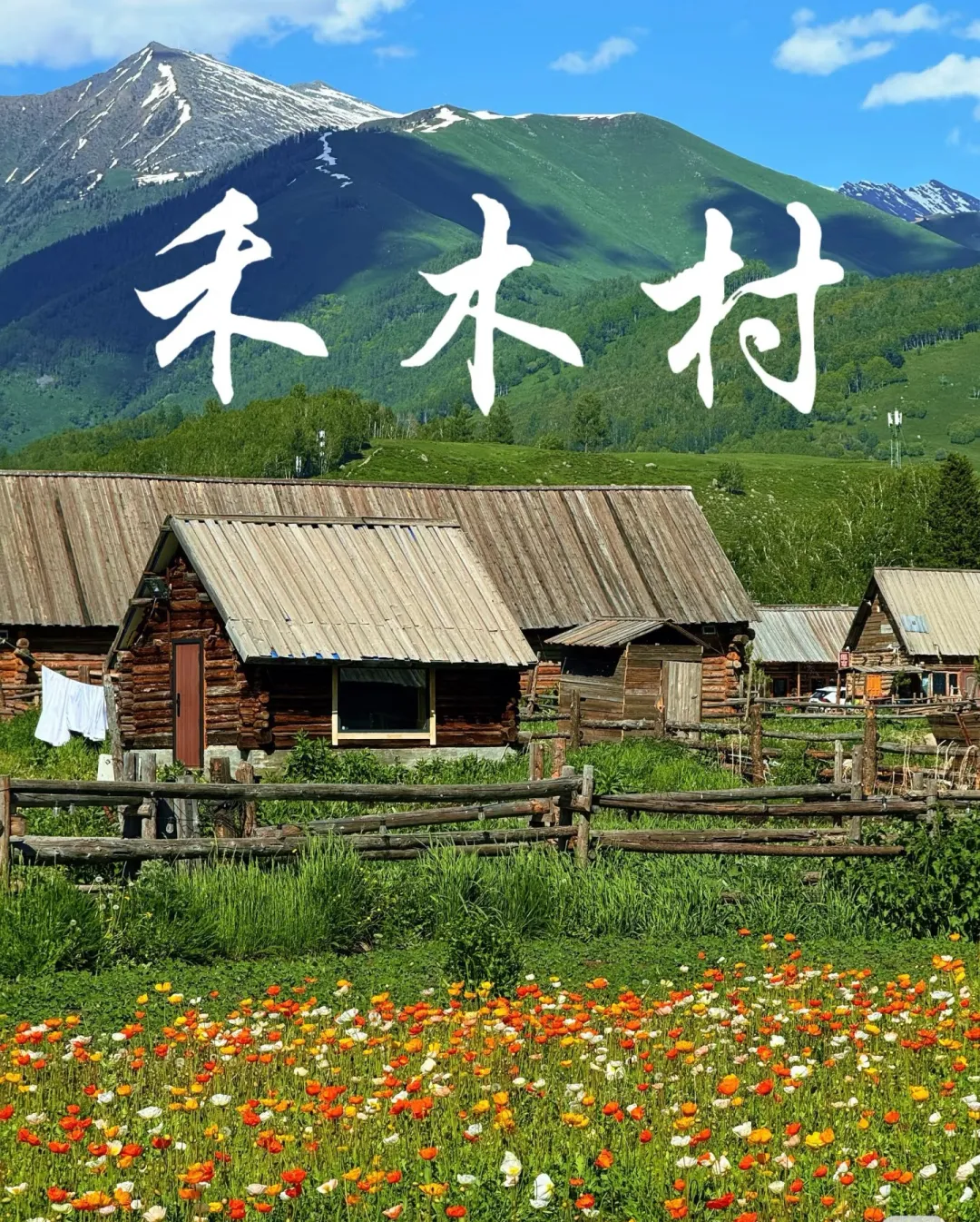 57f934bc808180c084bedb59d90abfe7-sz_1174650-1