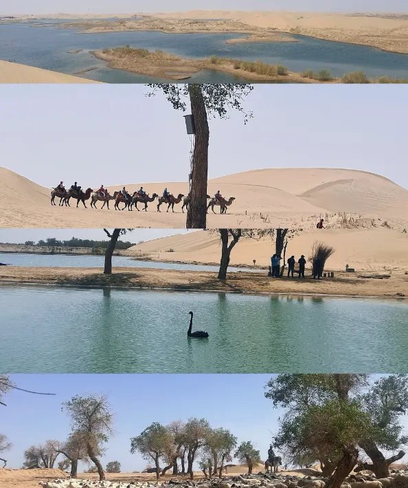 59d29ede9d245c7883a1535ded5d0924-sz_887429-1