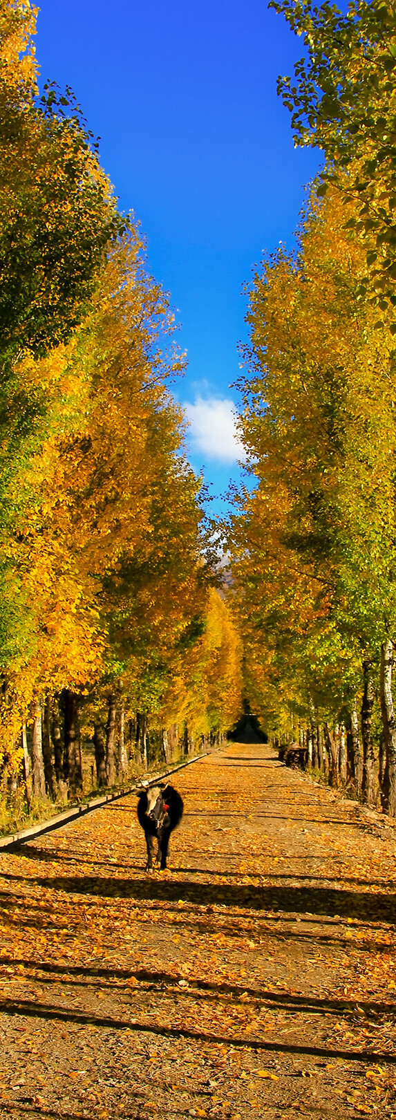 5a268f733db8f07bd34e7fc6f932f505_sz-2952926