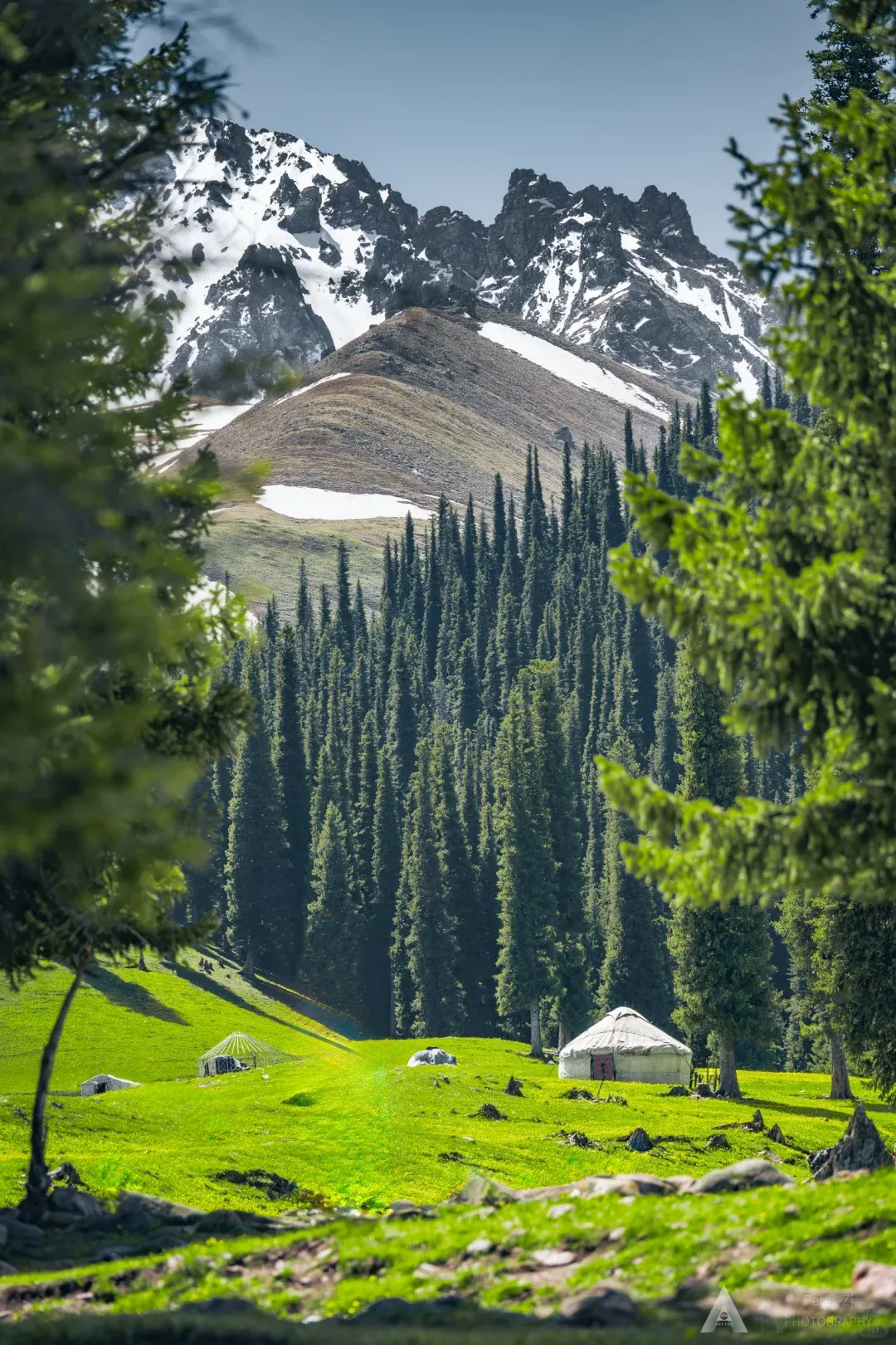 5a5ad7df298e443513f56195cca122aa-sz_3107614