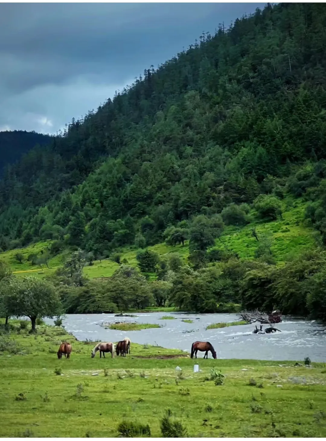 5ac52d6b7a992bd78217f7a2c3210f4b-sz_418693