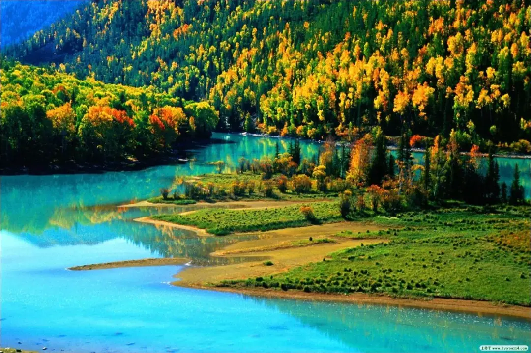 5c4cfc6bfc98f6fd44a940cc3125d80f-sz_219337