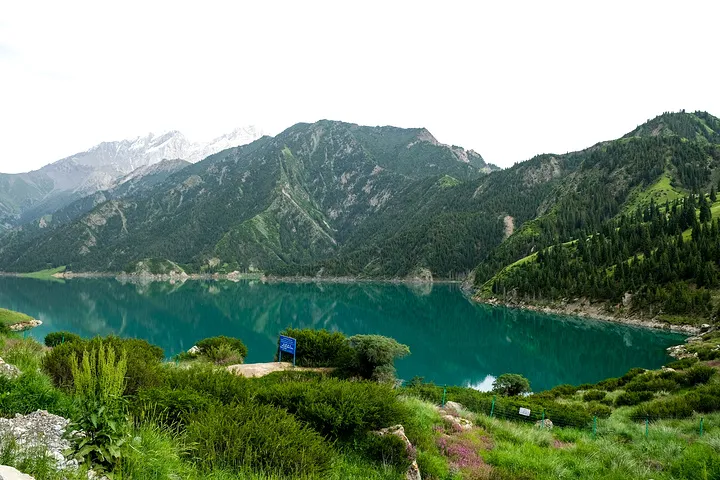 5ce5214b799495533d75a719ee8d4190-sz_200432