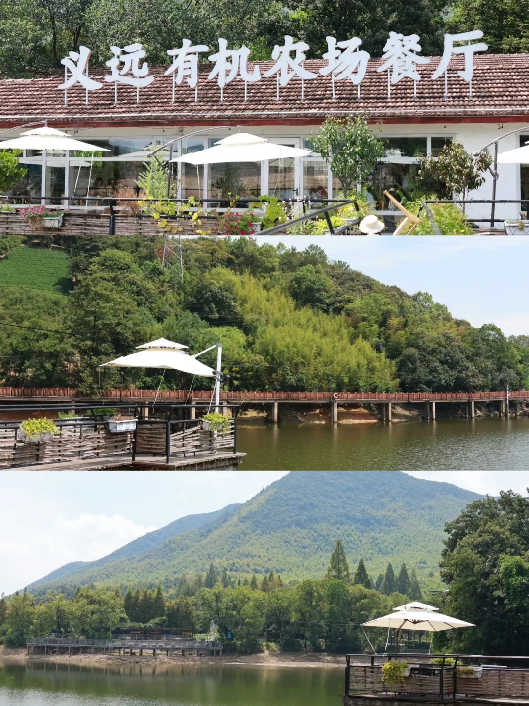 5d0f909e3e0cd6a4394fa87dc413cc11-sz_593680