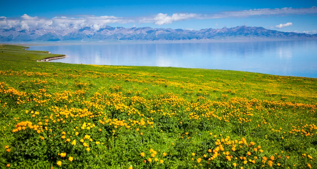 5d22368d8833e53c05b66dc8f2c0e5e1-sz_2620655