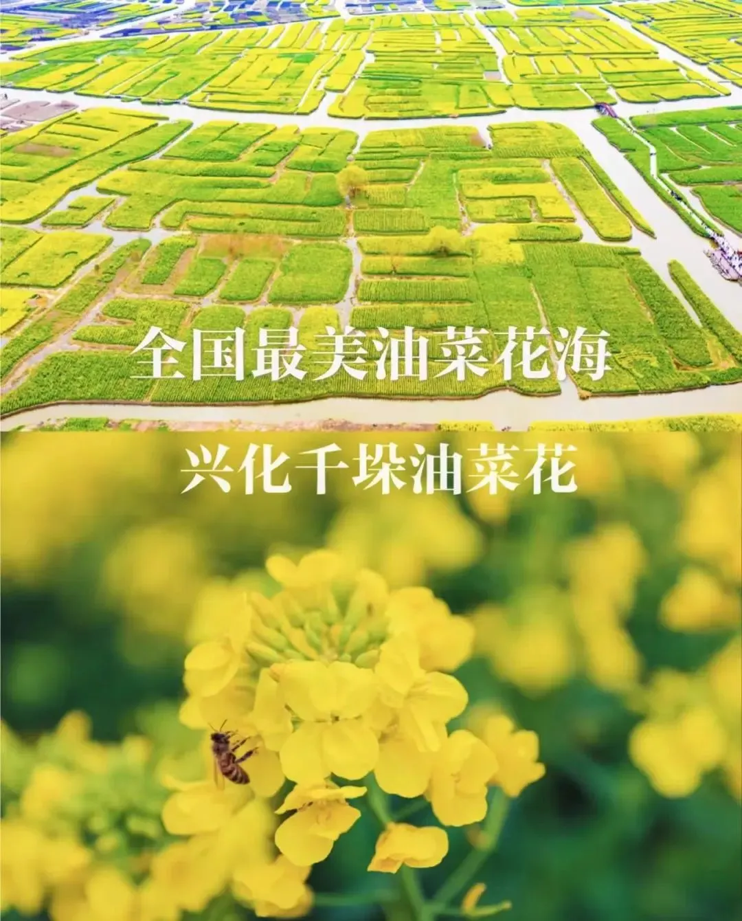 5d9f505a8e76edab1ec7e4867a31e099-sz_205809-1