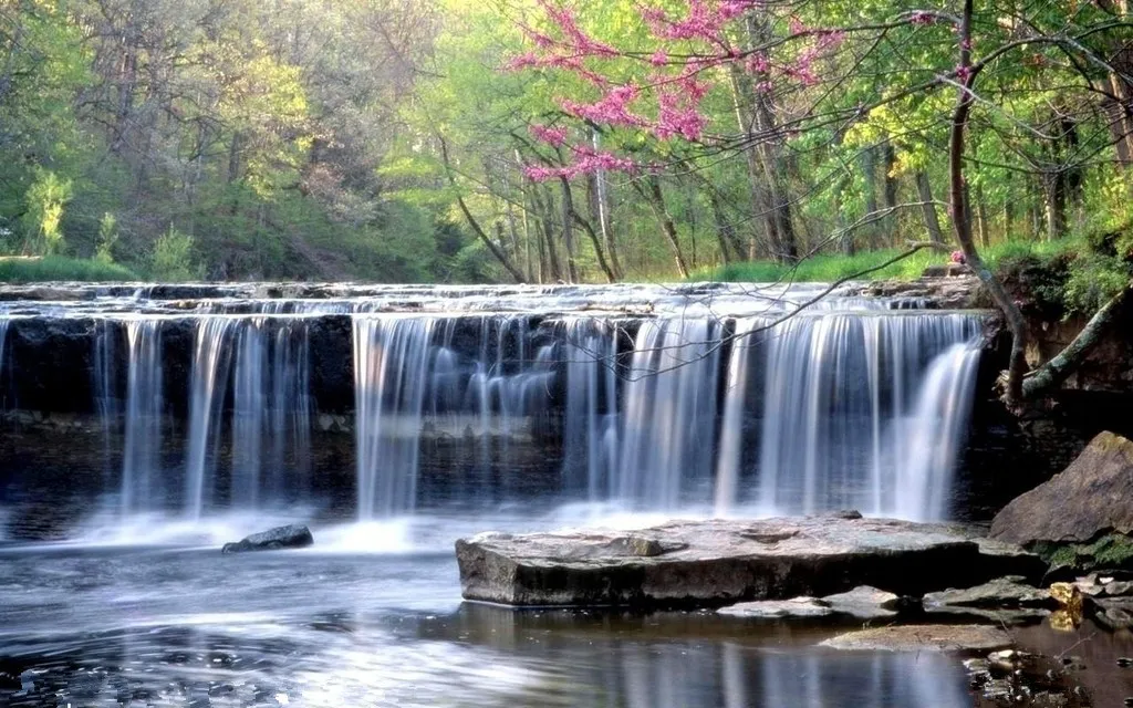 5dd7e33136bfe46cf22a8a3824e8bbae-sz_261533