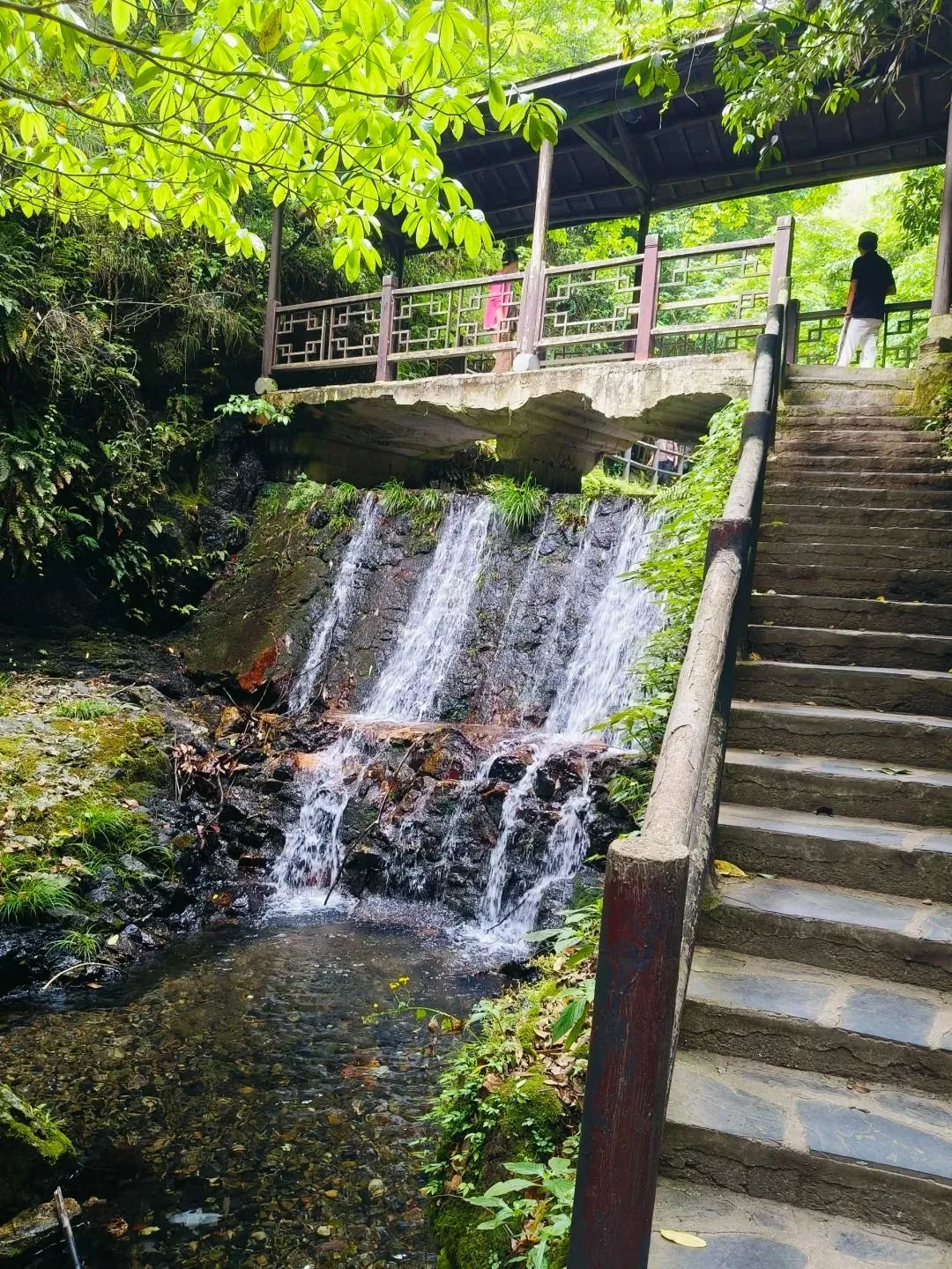 5de89f475bf617553bd948da601df1e0-sz_504329