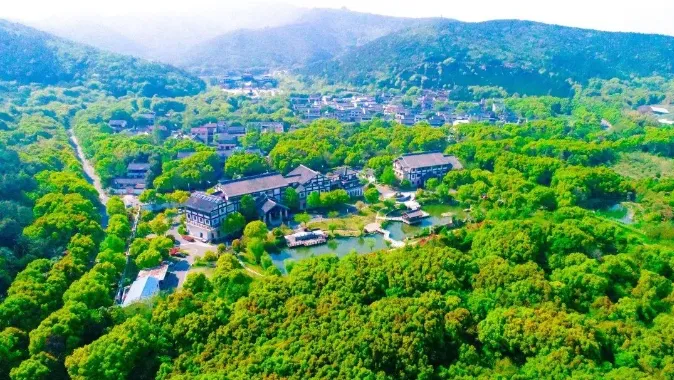 61cb3fd007e9558dd699d61c009c4084-sz_550794