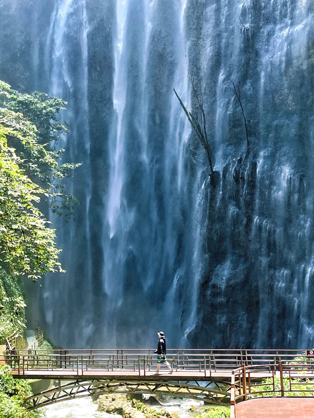 620d9b4f8de45037f2c71b7e1d76d5ea-sz_3458028