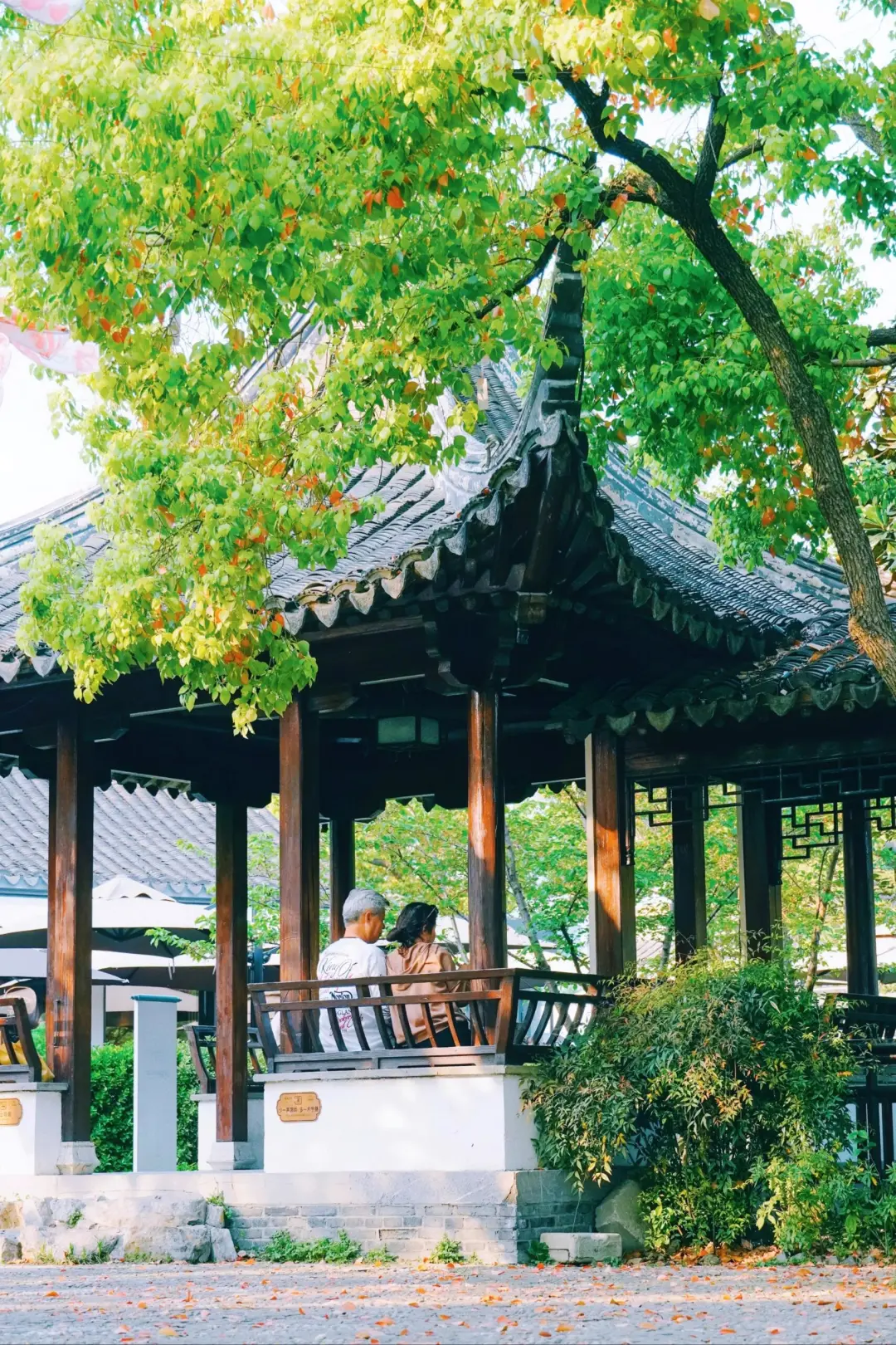 631d7da6632024451870ed79009a97cb-sz_883771-1