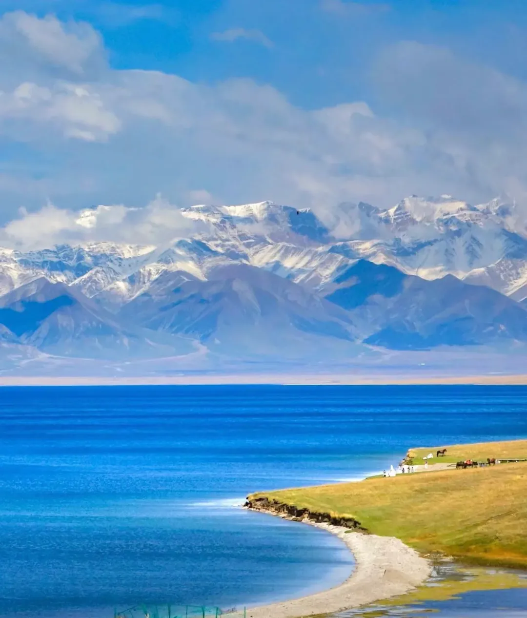 63546dc346eed3b9d2173d53d34a2658-sz_1894188