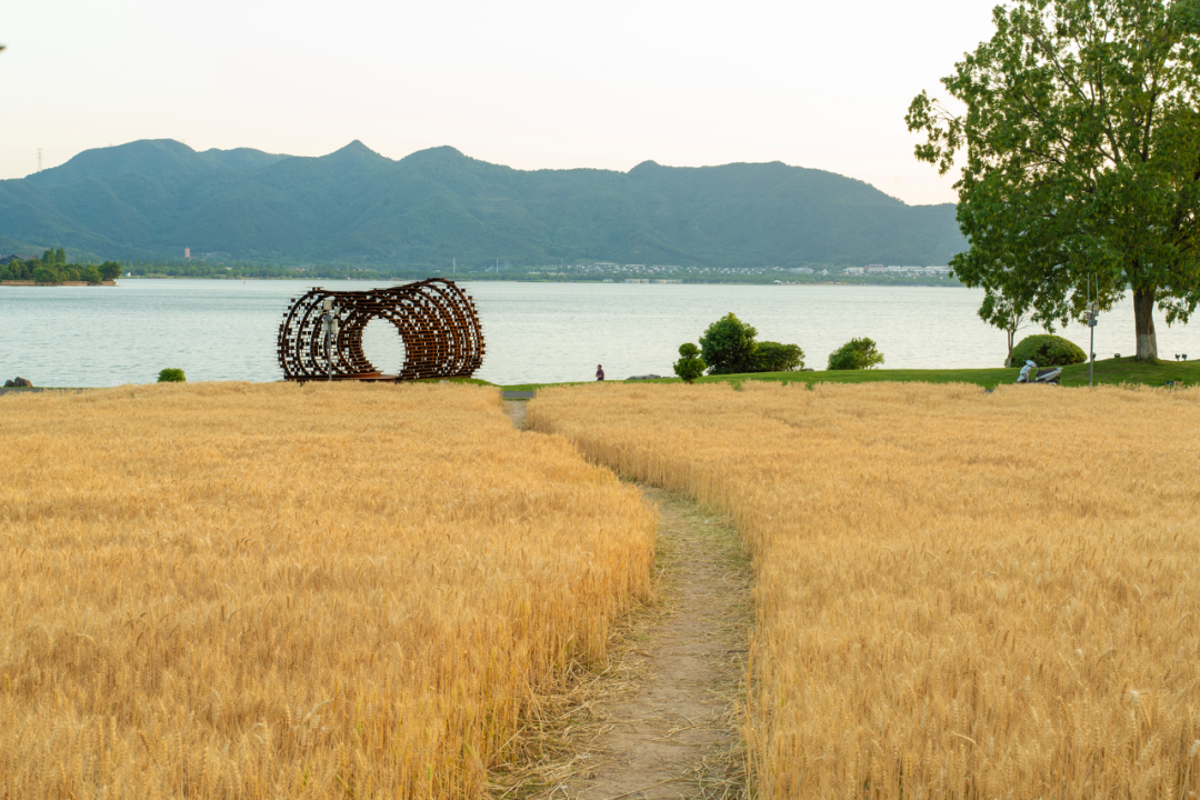 【浙江宁波丨东钱湖华侨豪生大酒店（二灵山温泉店）】3天2晚599元/人起●含2早2正●享免费棋牌●免费KTV●宠物友好●享酒店旅拍