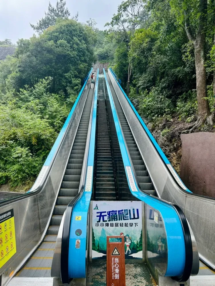 66ab8e044d46c90b6baf614dbf6f7f0f-sz_3972731