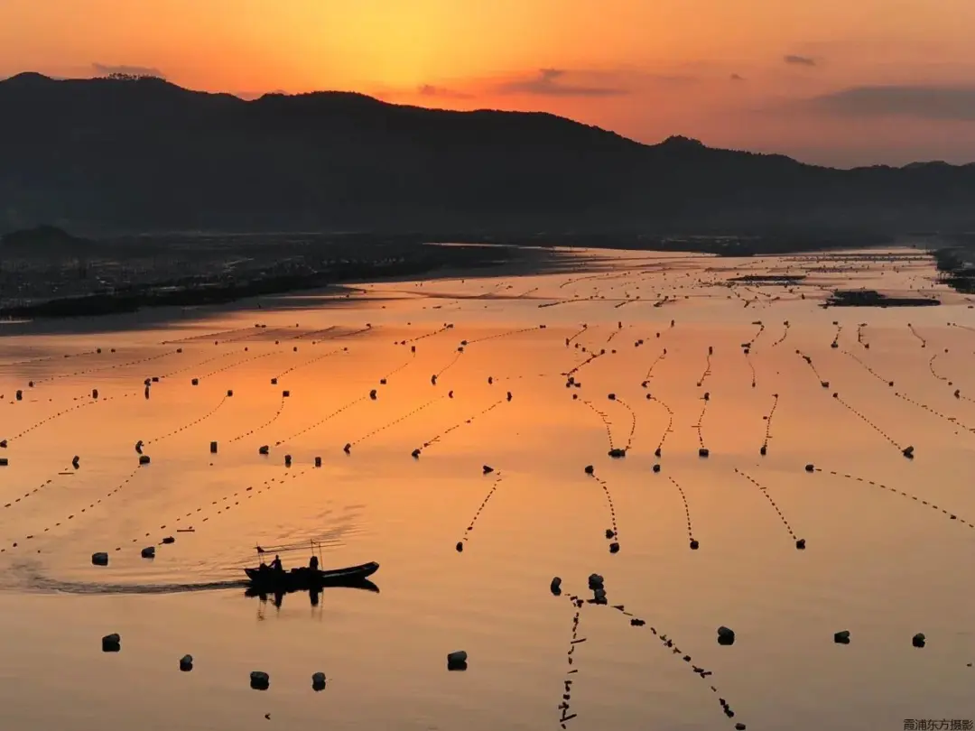 67d953369347a522a5c801caf49b784b-sz_93116