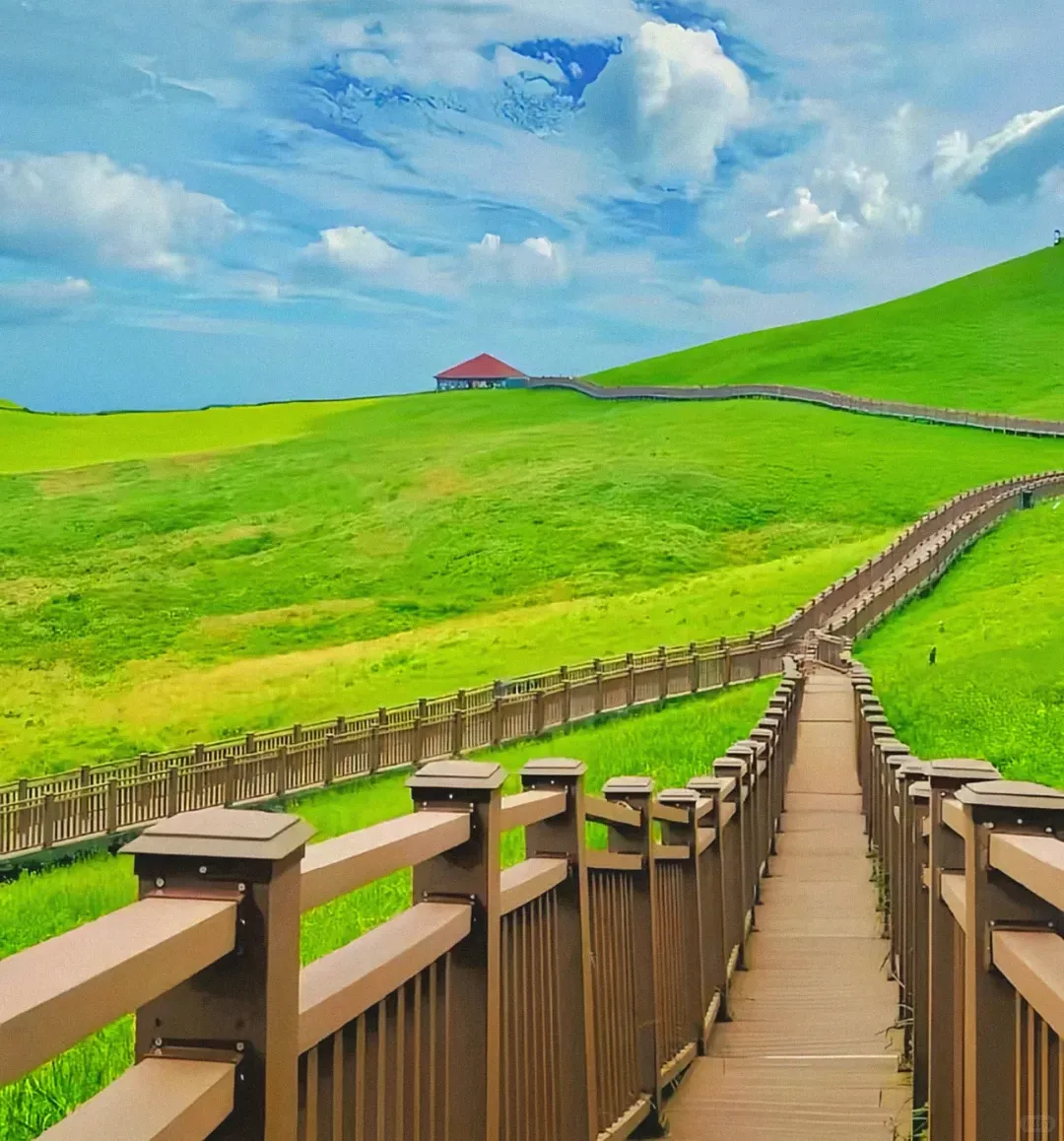 6835b8c2e1fb517ffd92bcd7d5a0904f-sz_2426341-2