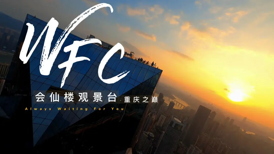 6851efd02b59bee118aeb4cdd8e6a911-sz_156436