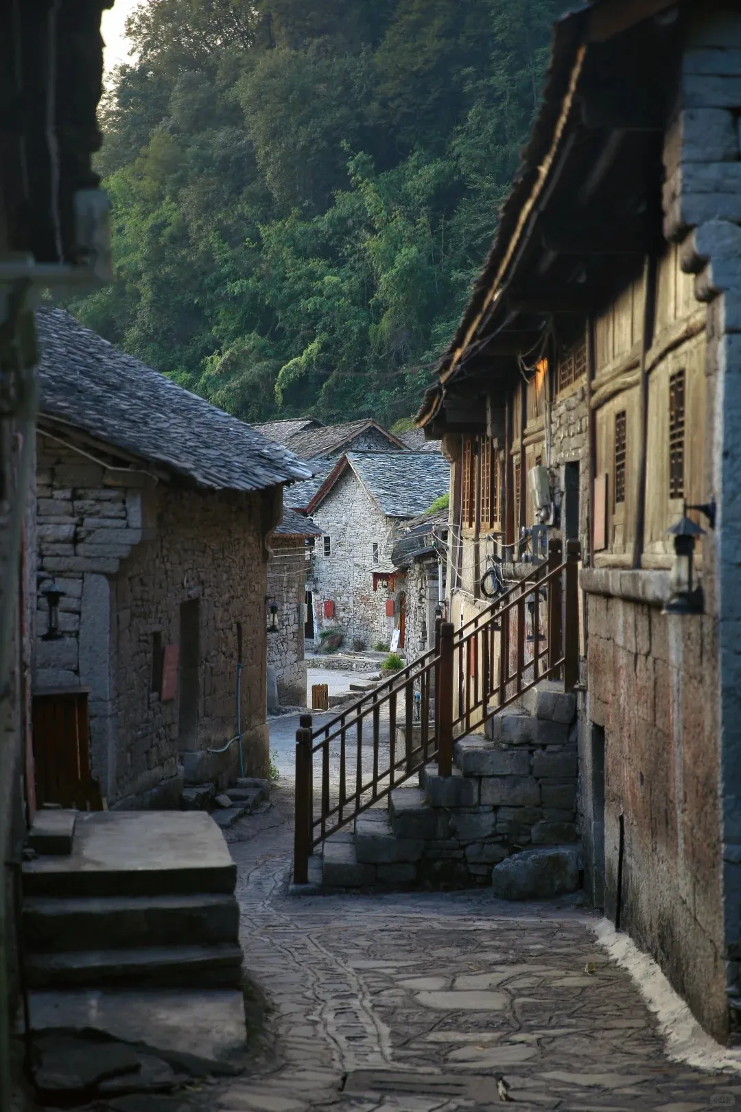 6924d7b26f787545aea42a4bdd89e781-sz_453875